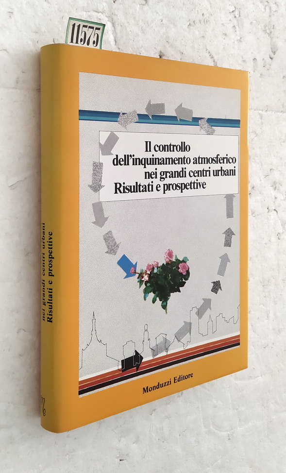 IL CONTROLLO DELL'INQUINAMENTO ATMOSFERICO NEI GRANDI CENTRI URBANI. RISULTATI E …