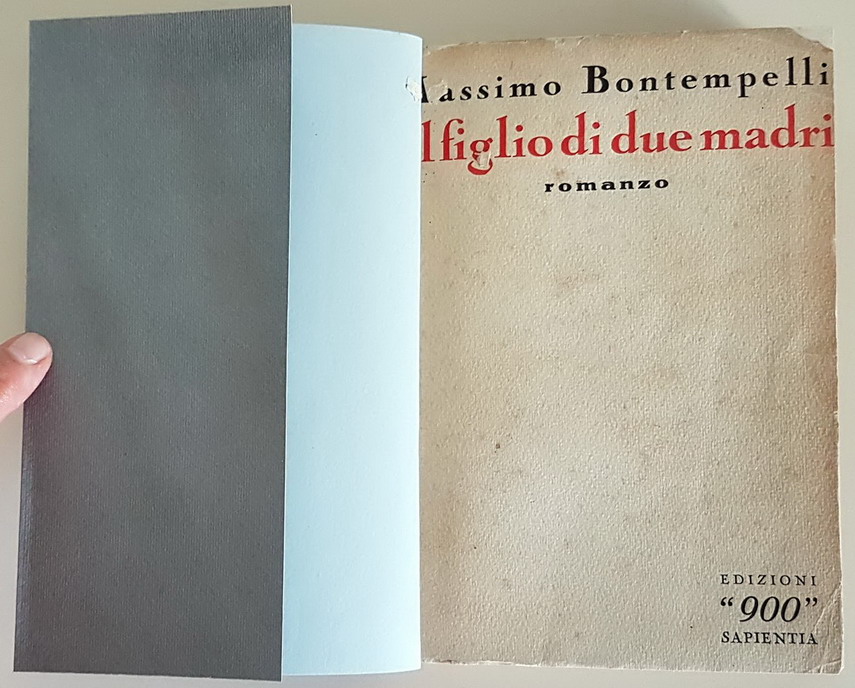 IL FIGLIO DI DUE MADRI