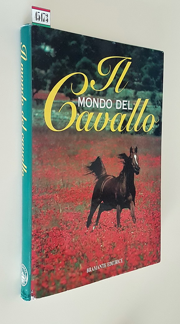 IL MONDO DEL CAVALLO