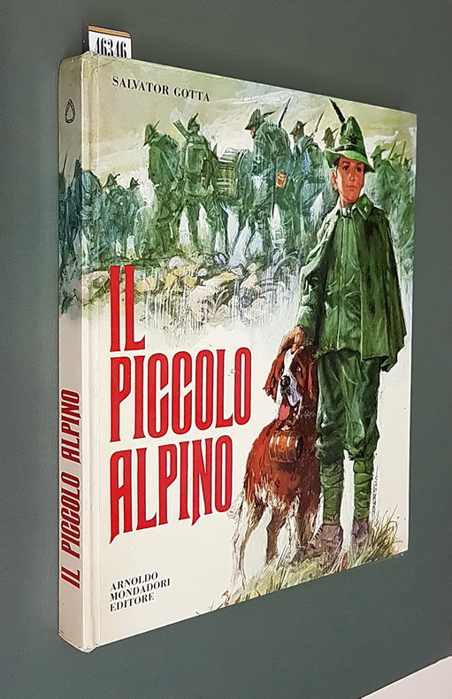 IL PICCOLO ALPINO