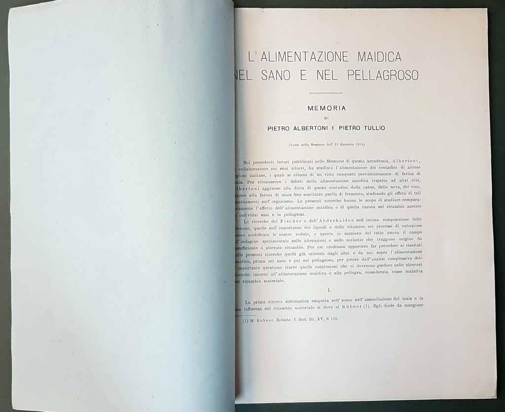 L'ALIMENTAZIONE MAIDICA NEL SANO E NEL PELLAGROSO