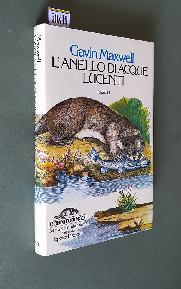 L'ANELLO DI ACQUE LUCENTI