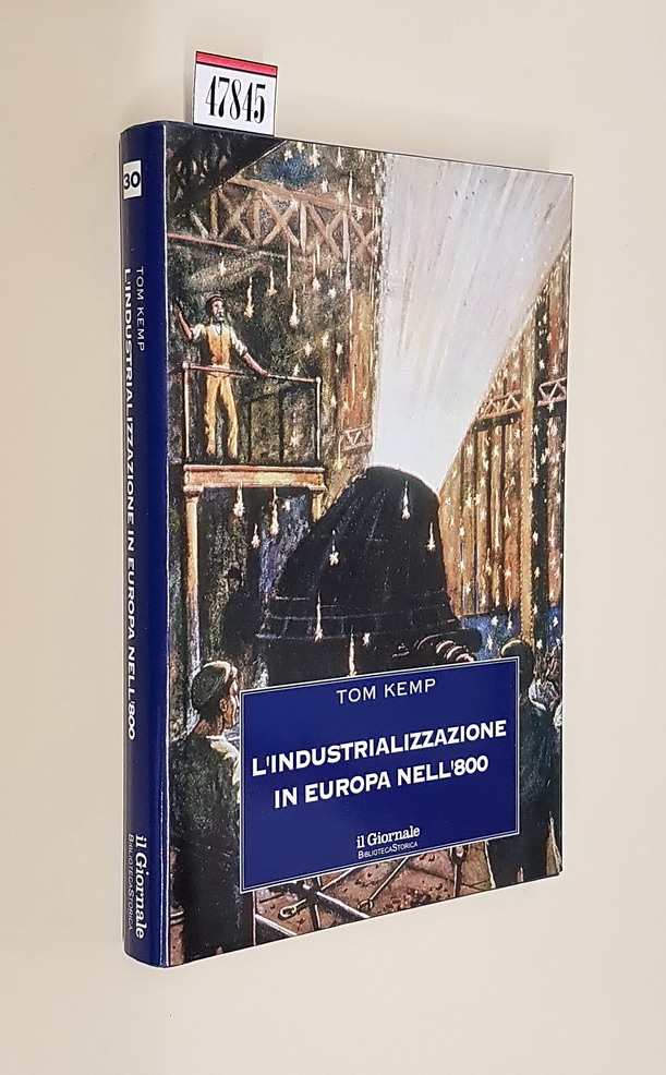 L'INDUSTRIALIZZAZIONE IN EUROPA NELL'800