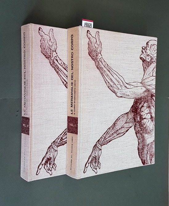 LE MERAVIGLIE DEL NOSTRO CORPO E COME MANTENERLO SANO - …