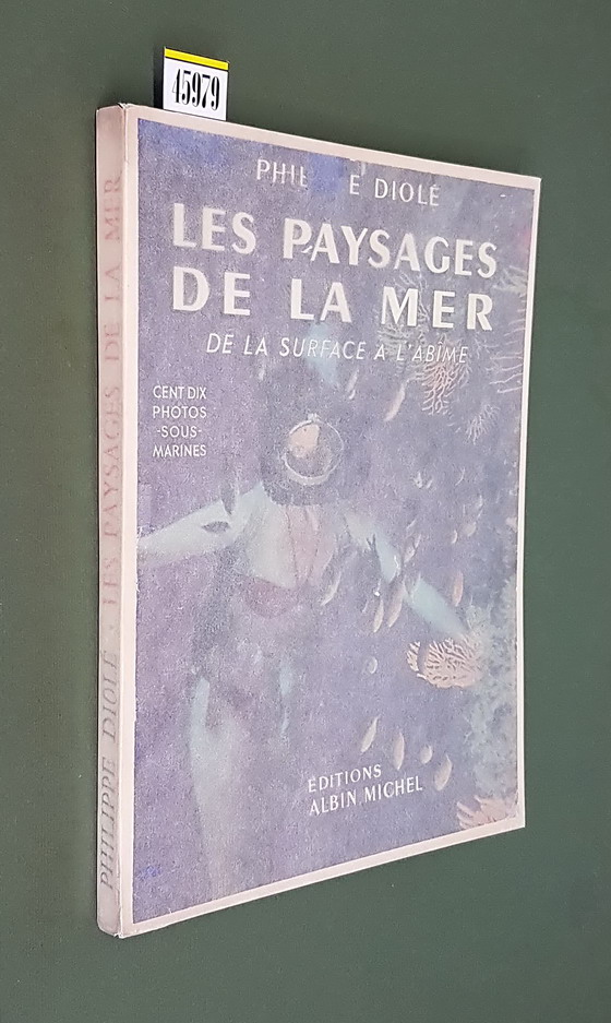LES PAYSAGES DE LA MER de la surface a l'abime
