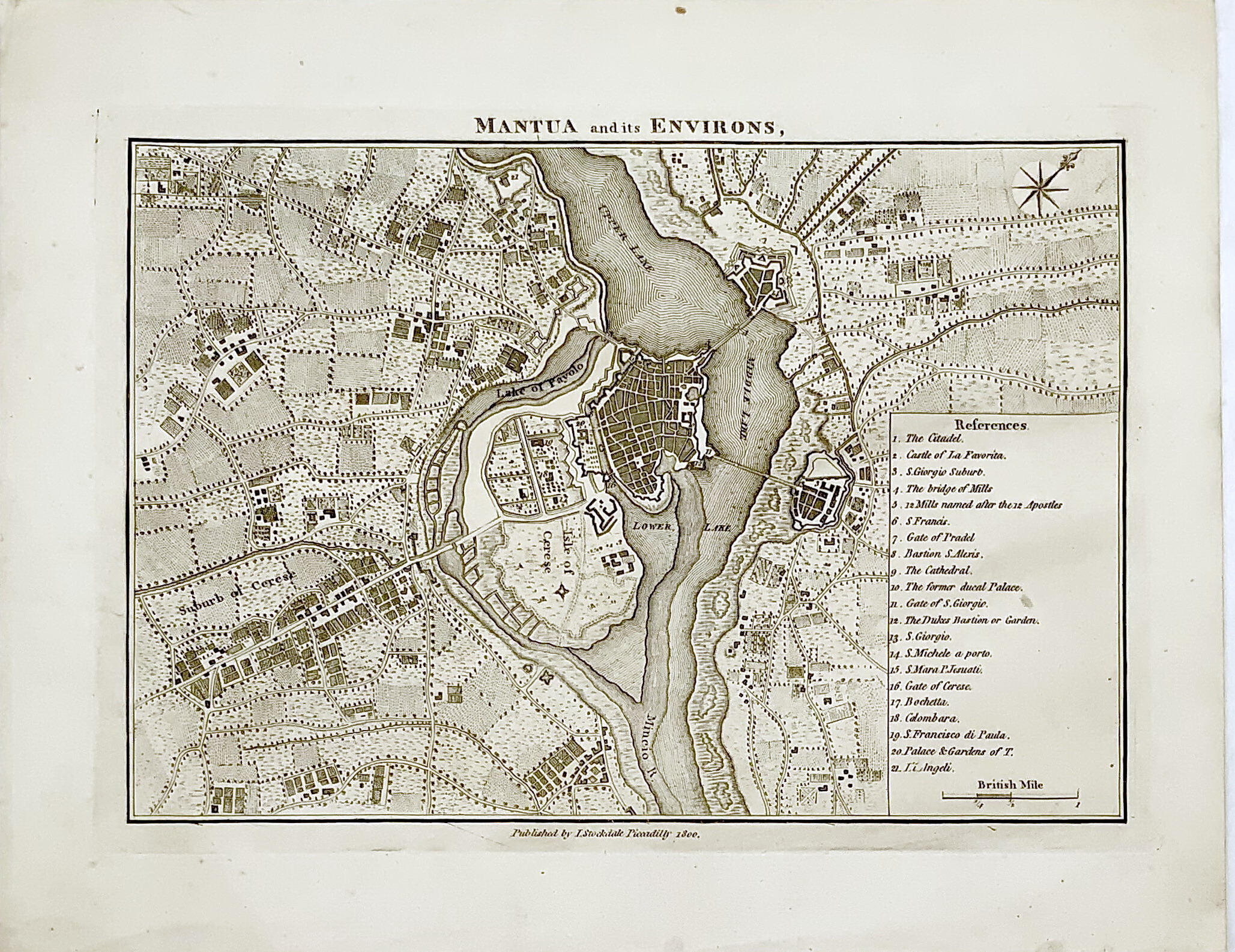MANTUA and is ENVIRONS - Veduta a volo d'uccello di …