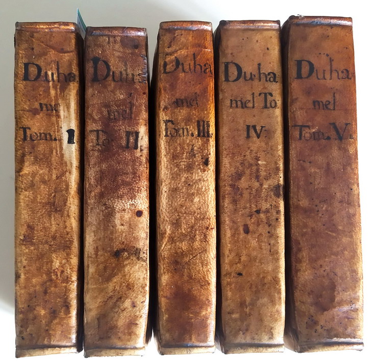 PHILOSOPHIA VETUS ET NOVA AD USUM SCHOLAE Accommodata in Regia …