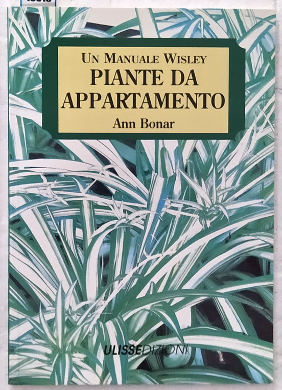 PIANTE DA APPARTAMENTO