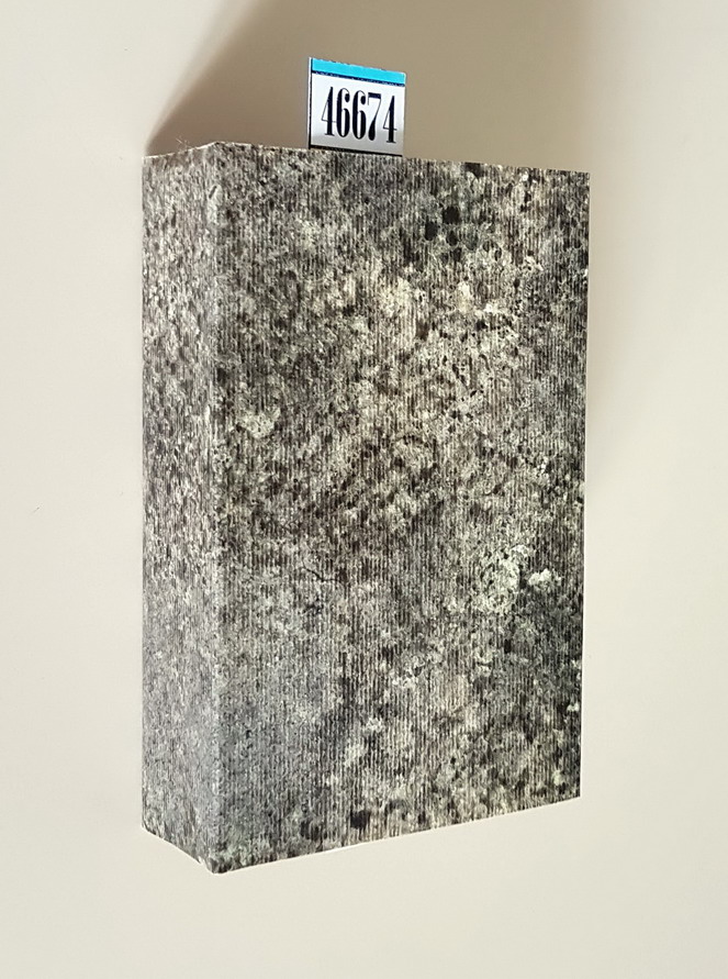 POESIE ordinate da G. Carducci