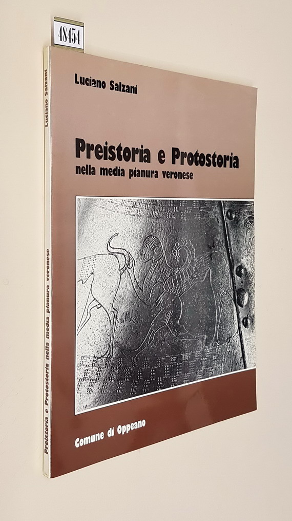 PREISTORIA E PROTOSTORIA nella media pianura veronese