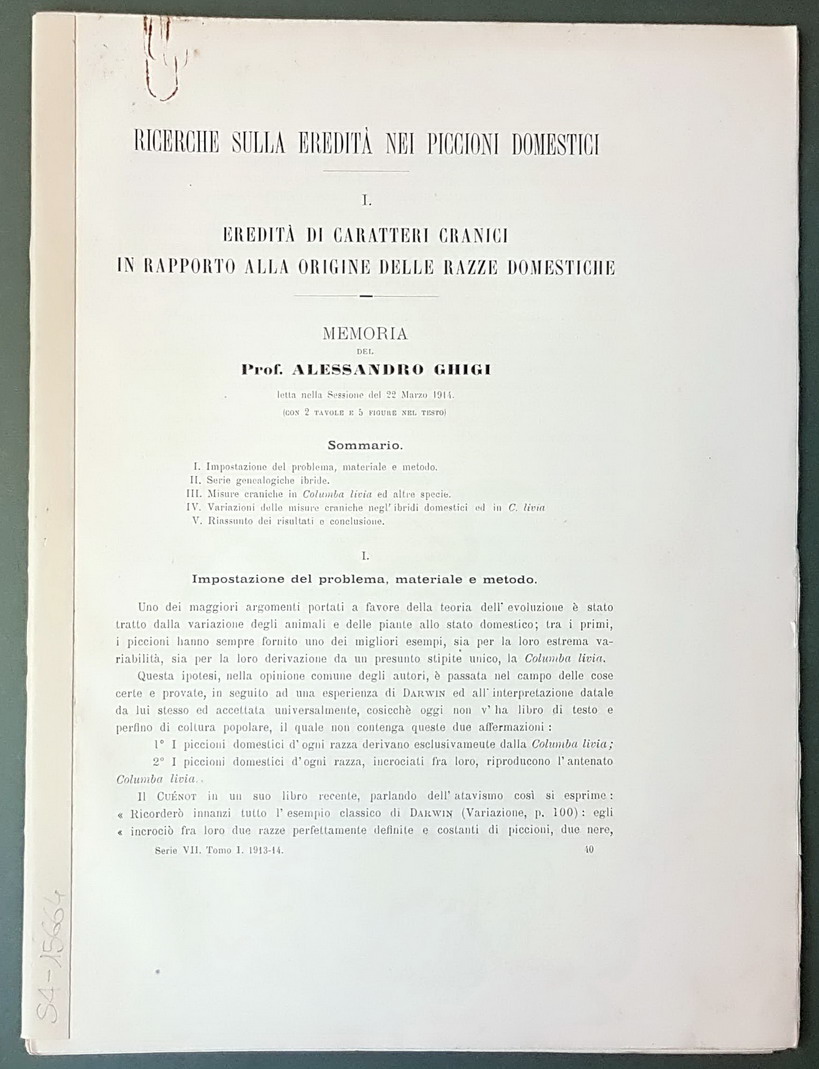 RICERCHE SULLA EREDITA' NEI PICCIONI DOMESTICI - EREDITA' DI CARATTERI …