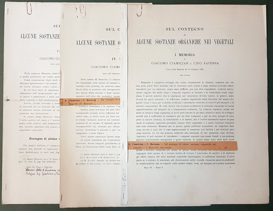 SUL CONTEGNO DI ALCUNE SOSTANZE ORGANICHE NEI VEGETALI (I., IV …
