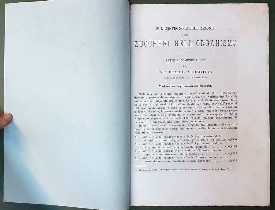 SUL CONTEGNO E SULL'AZIONE DEGLI ZUCCHERI NELL'ORGANISMO