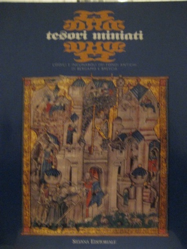 Tesori miniati. Codici e incunamboli dei fondi antichi di Bergamo …