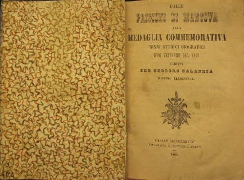 Dalle prigioni di Mantova alla medaglia commemorativa. Cenni storici biografici …