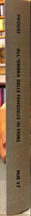 Alla ricerca del tempo perduto. All’ombra delle fanciulle in fiore. …
