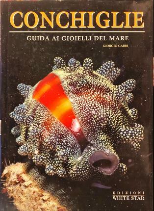 Conchiglie. Guida ai gioielli del mare.