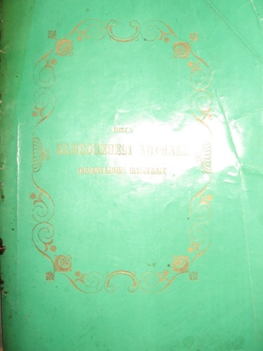 Della glucogenesi animale. Dissertazione inaugurale che presentava Della Vecchia Giovanni …
