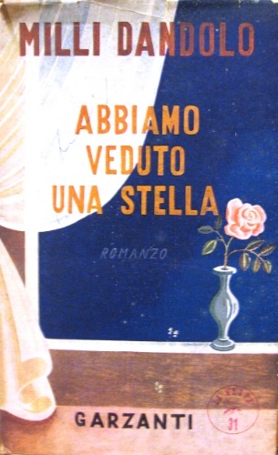 Abbiamo veduto una stella. Romanzo.