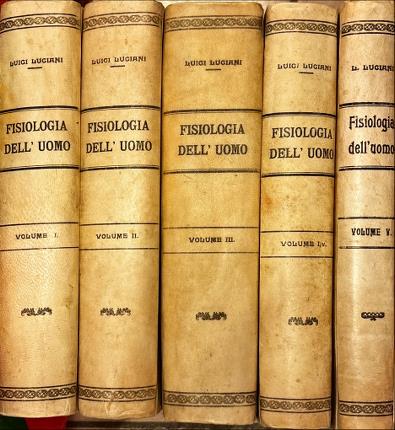 Fisiologia dell'uomo.