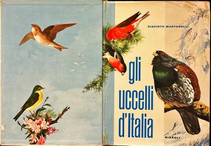 Gli uccelli d' Italia.