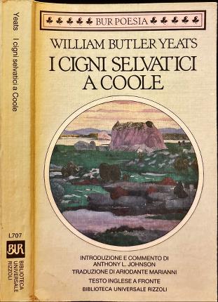 I cigni selvatici a Coole.