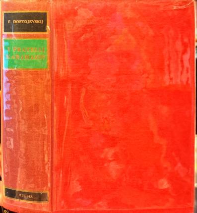 I fratelli Karamazov.