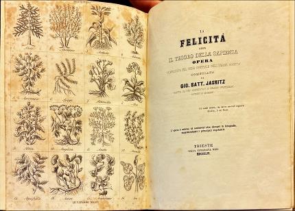 La felicità ossia il tesoro della sapienza.