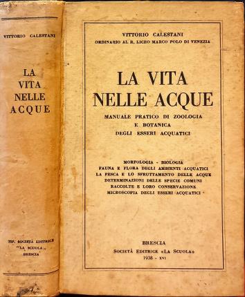 La vita nelle acque.