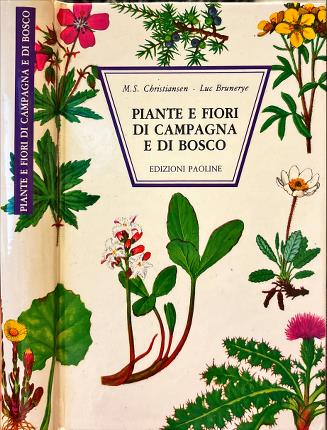 Piante e fiori di campagna e di bosco.