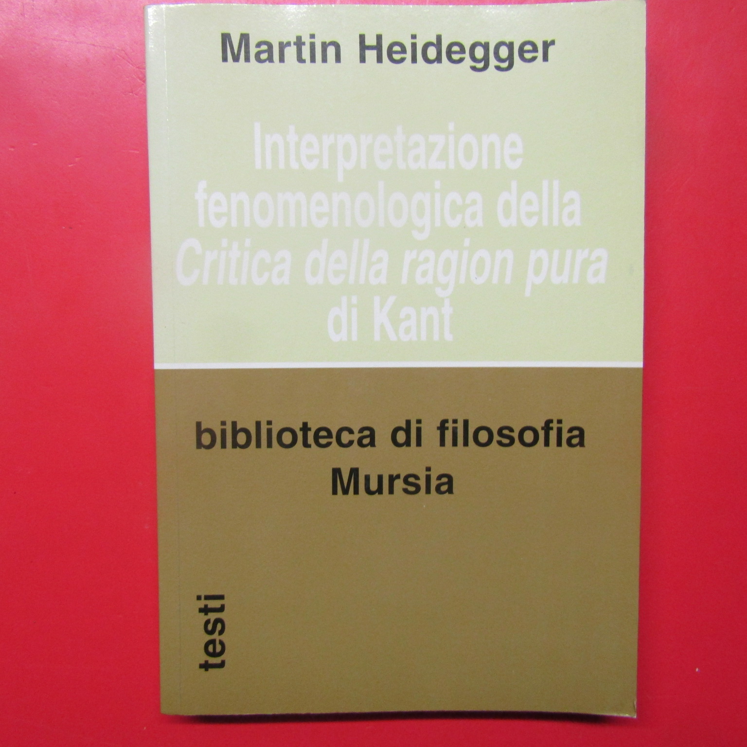 Interpretazione fenomenologica della Critica della ragion pura di Kant