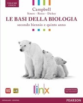 BASI DELLA BIOLOGIA. SECONDO BIENNIO E QUINTO ANNO VOL.UNICO.