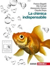 CHIMICA INDISPENSABILE (LA) (LM LIBRO MISTO).