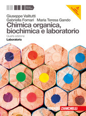 CHIMICA ORGANICA BIOCHIMICA E LABORATORIO 4ED. (LM LIBRO MISTO). LABORATORIO