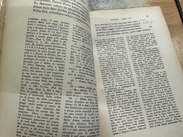 ENEIDE LIBRO VII ( SCIUTO SALVATORE )