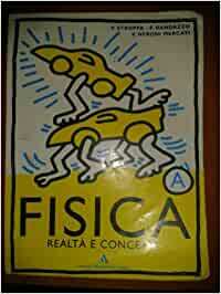 FISICA REALTA E CONCETTI A NOVITA 2004