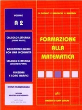 FORMAZIONE ALLA MATEMATICA - VOL. A2 X IPSIA