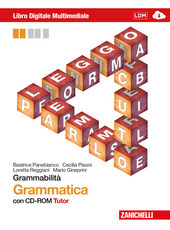 GRAMMABILITA' - GRAMMATICA MULTIMEDIALE CON CD-ROM (LDM).