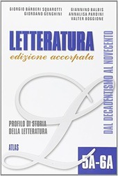 LETTERATURA - TOMI 5A-6A