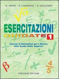 ESERCITAZIONI GUIDATE. PER LE SCUOLE SUPERIORI. VOL. 1