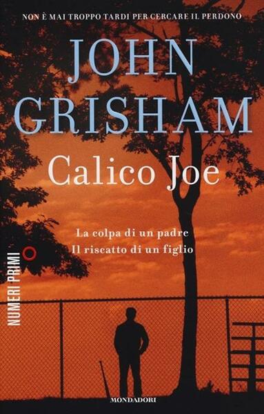 CALICO JOE