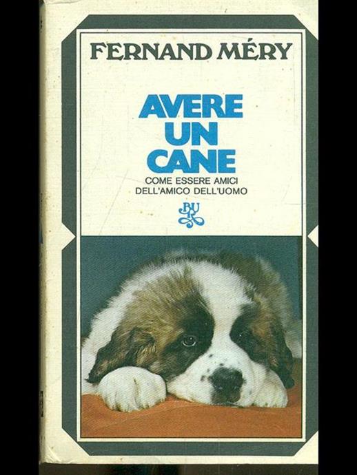 AVERE UN CANE
