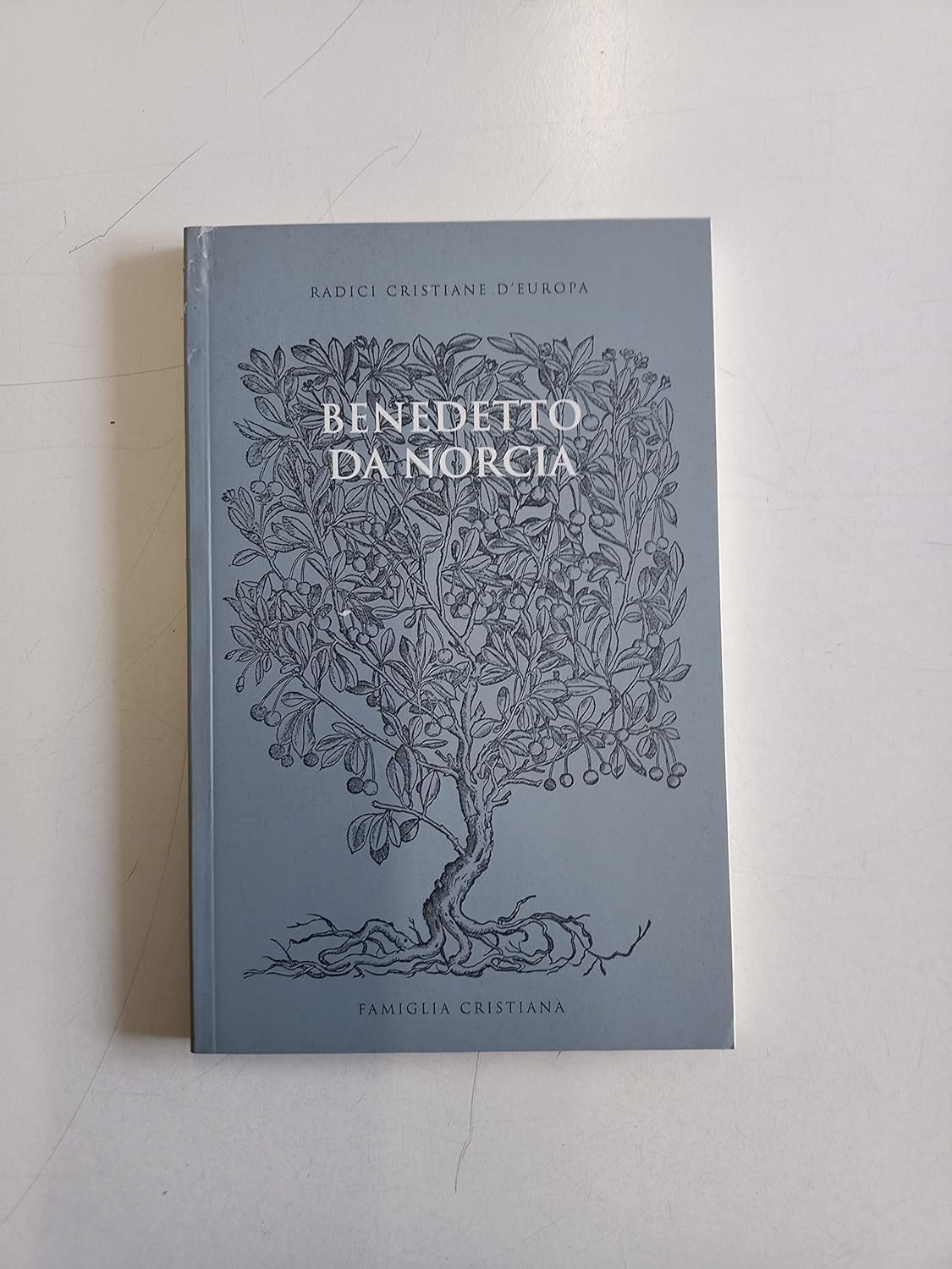 BENEDETTO DA NORCIA