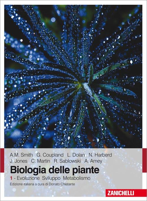 BIOLOGIA DELLE PIANTE. VOLUME 1