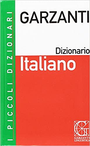 DIZIONARIO ITALIANO PICCOLO + CD