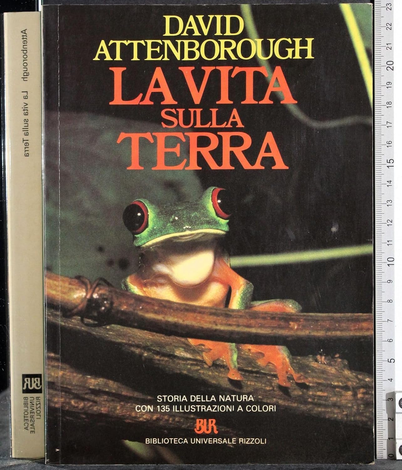 LA VITA SULLA TERRA