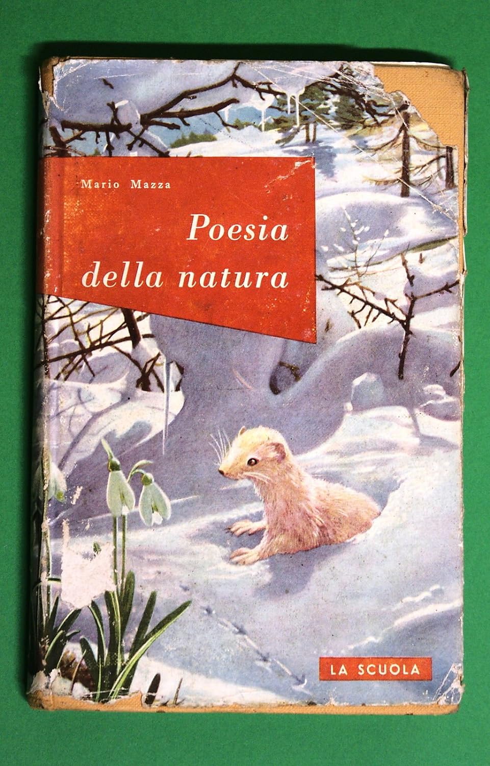POESIA DELLA NATURA