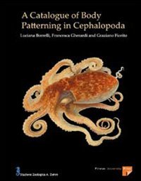 Catalogue of body patterning in Cephalopoda