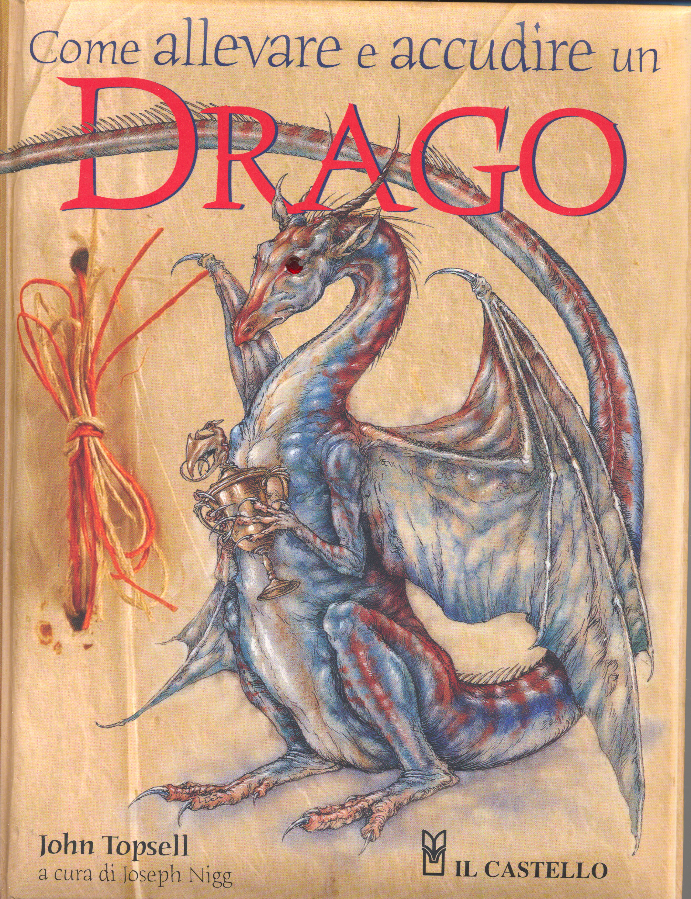 Come allevare e accudire un drago