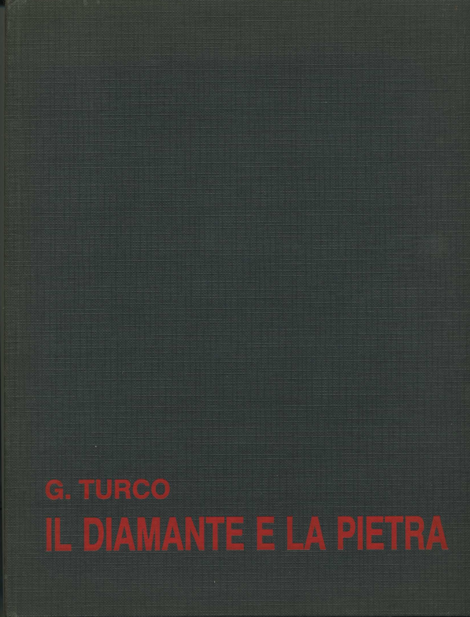 il diamante e la pietra ovvero breve saggio sull`analogia e …